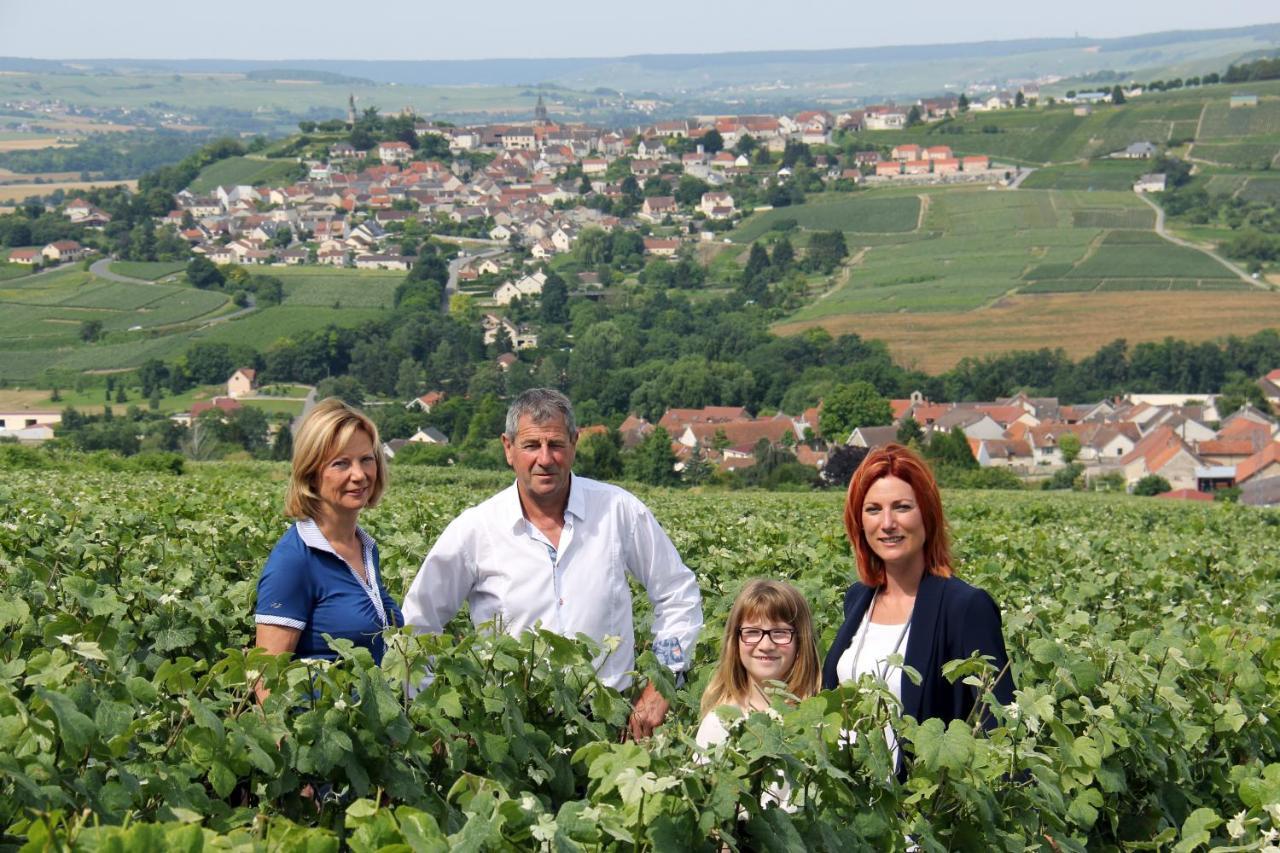 La Grange D' Angel Villa Chatillon-sur-Marne ภายนอก รูปภาพ